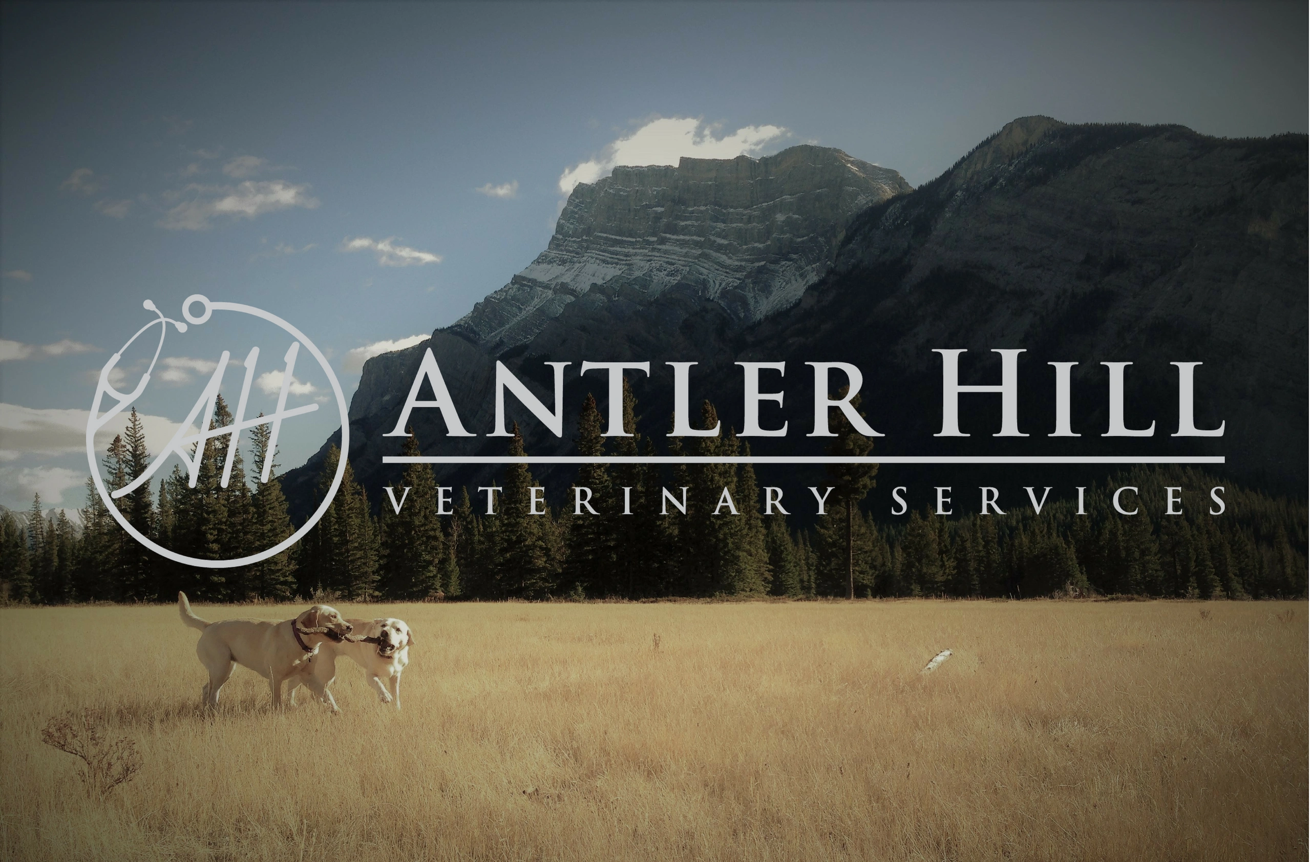 24 hour vet sales red deer